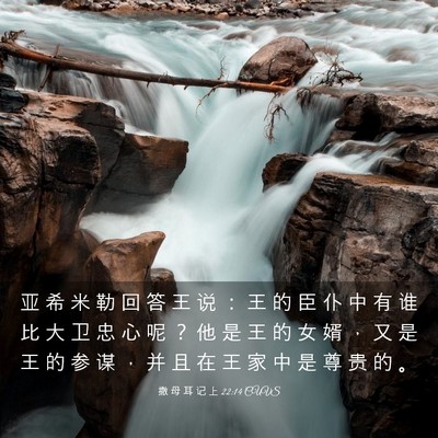 Picture 03 - 撒 母 耳 记 上 22:14 CUVS - 亚 希 米 勒 回 答 王 说 ： 王 的 臣 - Bible Verse Picture