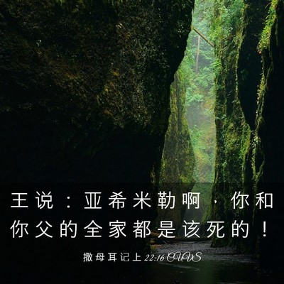 Picture 03 - 撒 母 耳 记 上 22:16 CUVS - 王 说 ： 亚 希 米 勒 啊 ， 你 和 你 - Bible Verse Picture