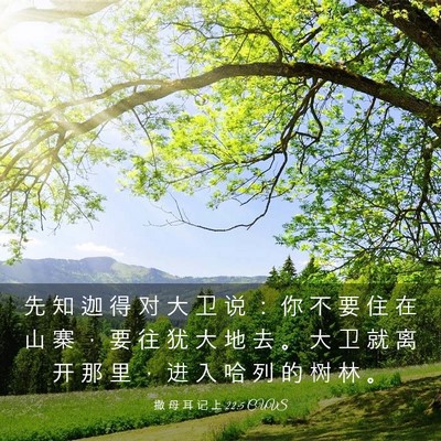 Picture 03 - 撒 母 耳 记 上 22:5 CUVS - 先 知 迦 得 对 大 卫 说 ： 你 不 要 - Bible Verse Picture