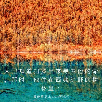 Picture 03 - 撒 母 耳 记 上 23:15 CUVS - 大 卫 知 道 扫 罗 出 来 寻 索 他 的 - Bible Verse Picture