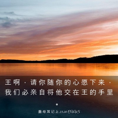 Picture 03 - 撒 母 耳 记 上 23:20 CUVS - 王 啊 ， 请 你 随 你 的 心 愿 下 来 - Bible Verse Picture