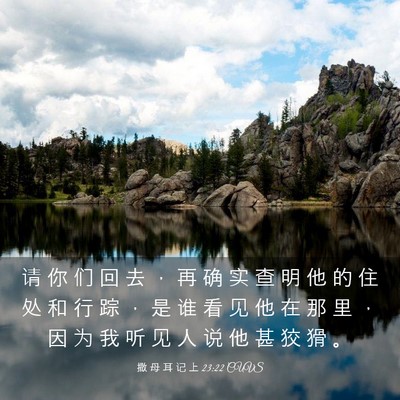 Picture 03 - 撒 母 耳 记 上 23:22 CUVS - 请 你 们 回 去 ， 再 确 实 查 明 他 - Bible Verse Picture