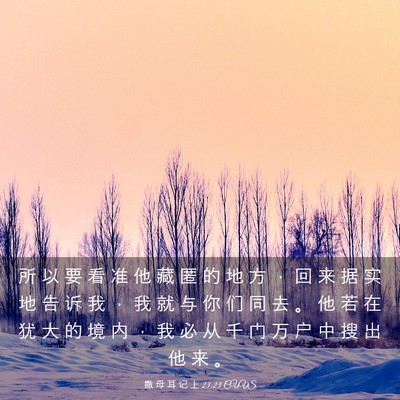 Picture 03 - 撒 母 耳 记 上 23:23 CUVS - 所 以 要 看 准 他 藏 匿 的 地 方 ， - Bible Verse Picture