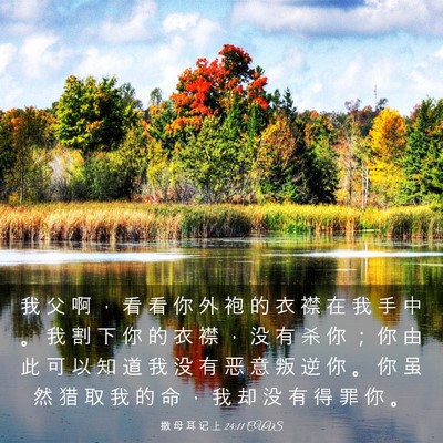 Picture 03 - 撒 母 耳 记 上 24:11 CUVS - 我 父 啊 ， 看 看 你 外 袍 的 衣 襟 - Bible Verse Picture