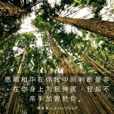 Picture 03 - 撒 母 耳 记 上 24:12 CUVS - 愿 耶 和 华 在 你 我 中 间 判 断 是 - Bible Verse Picture