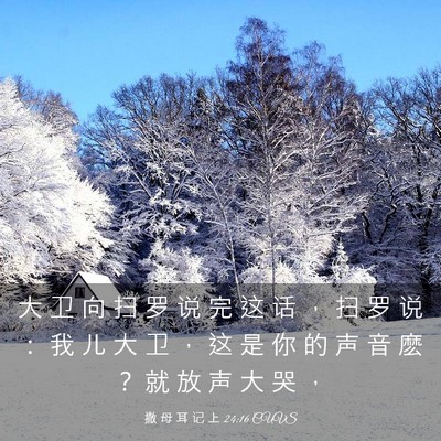 Picture 03 - 撒 母 耳 记 上 24:16 CUVS - 大 卫 向 扫 罗 说 完 这 话 ， 扫 罗 - Bible Verse Picture