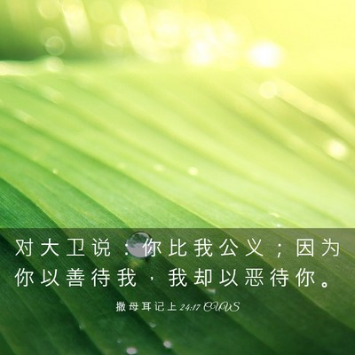 Picture 03 - 撒 母 耳 记 上 24:17 CUVS - 对 大 卫 说 ： 你 比 我 公 义 ； 因 - Bible Verse Picture