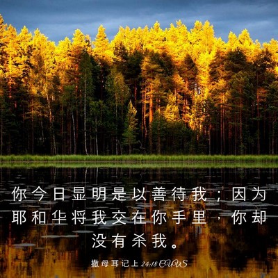 Picture 03 - 撒 母 耳 记 上 24:18 CUVS - 你 今 日 显 明 是 以 善 待 我 ； 因 - Bible Verse Picture