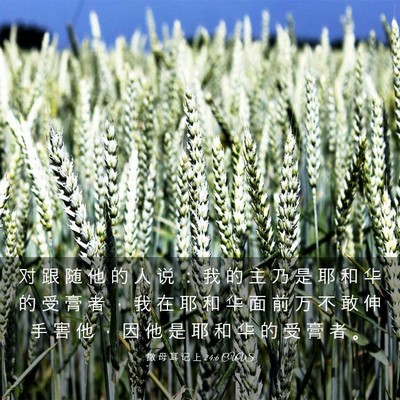 Picture 03 - 撒 母 耳 记 上 24:6 CUVS - 对 跟 随 他 的 人 说 ： 我 的 主 乃 - Bible Verse Picture