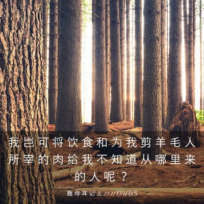 Picture 03 - 撒 母 耳 记 上 25:11 CUVS - 我 岂 可 将 饮 食 和 为 我 剪 羊 毛 - Bible Verse Picture