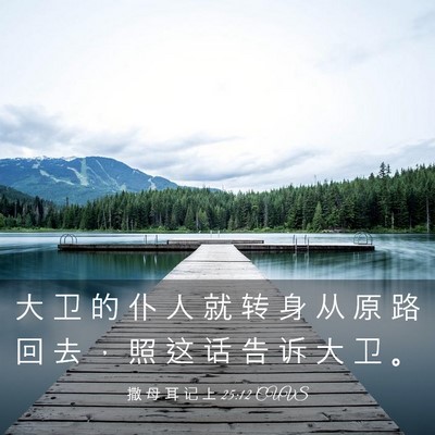 Picture 03 - 撒 母 耳 记 上 25:12 CUVS - 大 卫 的 仆 人 就 转 身 从 原 路 回 - Bible Verse Picture