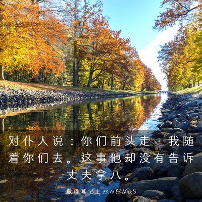 Picture 03 - 撒 母 耳 记 上 25:19 CUVS - 对 仆 人 说 ： 你 们 前 头 走 ， 我 - Bible Verse Picture