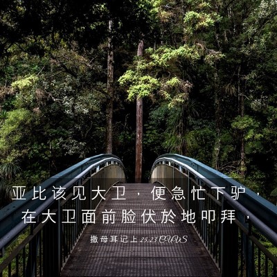 Picture 03 - 撒 母 耳 记 上 25:23 CUVS - 亚 比 该 见 大 卫 ， 便 急 忙 下 驴 - Bible Verse Picture