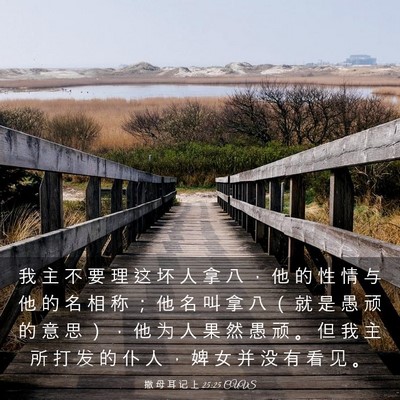 Picture 03 - 撒 母 耳 记 上 25:25 CUVS - 我 主 不 要 理 这 坏 人 拿 八 ， 他 - Bible Verse Picture