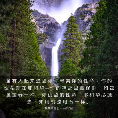 Picture 03 - 撒 母 耳 记 上 25:29 CUVS - 虽 有 人 起 来 追 逼 你 ， 寻 索 你 - Bible Verse Picture