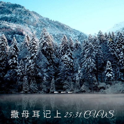 Picture 03 - 撒 母 耳 记 上 25:31 CUVS -  - Bible Verse Picture