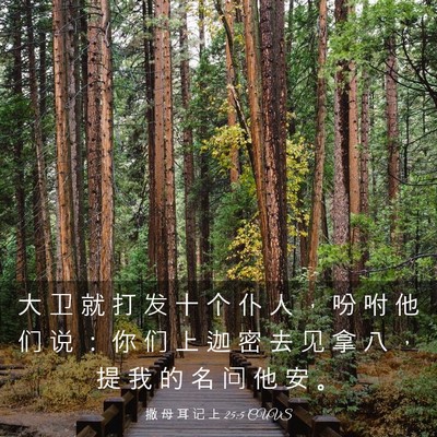 Picture 03 - 撒 母 耳 记 上 25:5 CUVS - 大 卫 就 打 发 十 个 仆 人 ， 吩 咐 - Bible Verse Picture