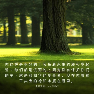 Picture 03 - 撒 母 耳 记 上 26:16 CUVS - 你 这 样 是 不 好 的 ！ 我 指 着 永 - Bible Verse Picture