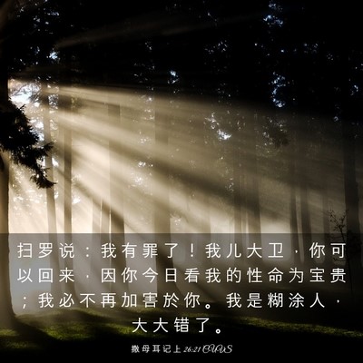 Picture 03 - 撒 母 耳 记 上 26:21 CUVS - 扫 罗 说 ： 我 有 罪 了 ！ 我 儿 大 - Bible Verse Picture