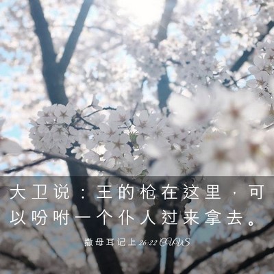 Picture 03 - 撒 母 耳 记 上 26:22 CUVS - 大 卫 说 ： 王 的 枪 在 这 里 ， 可 - Bible Verse Picture