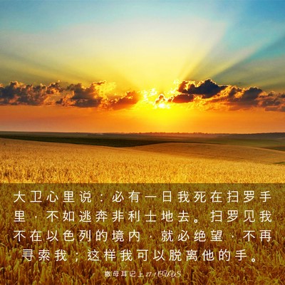Picture 03 - 撒 母 耳 记 上 27:1 CUVS - 大 卫 心 里 说 ： 必 有 一 日 我 死 - Bible Verse Picture
