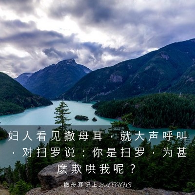 Picture 03 - 撒 母 耳 记 上 28:12 CUVS - 妇 人 看 见 撒 母 耳 ， 就 大 声 呼 - Bible Verse Picture