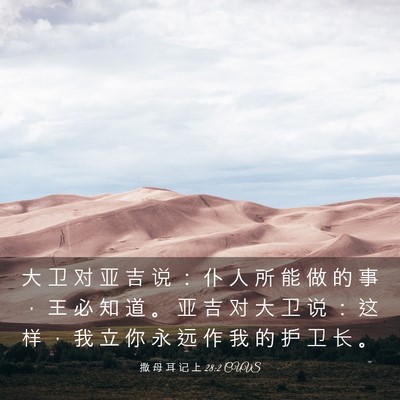 Picture 03 - 撒 母 耳 记 上 28:2 CUVS - 大 卫 对 亚 吉 说 ： 仆 人 所 能 做 - Bible Verse Picture