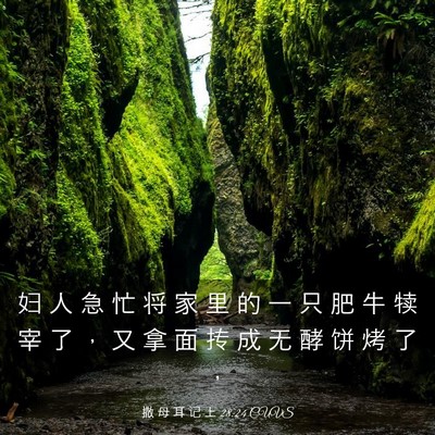 Picture 03 - 撒 母 耳 记 上 28:24 CUVS - 妇 人 急 忙 将 家 里 的 一 只 肥 牛 - Bible Verse Picture