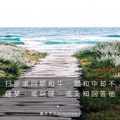 Picture 03 - 撒 母 耳 记 上 28:6 CUVS - 扫 罗 求 问 耶 和 华 ， 耶 和 华 却 - Bible Verse Picture