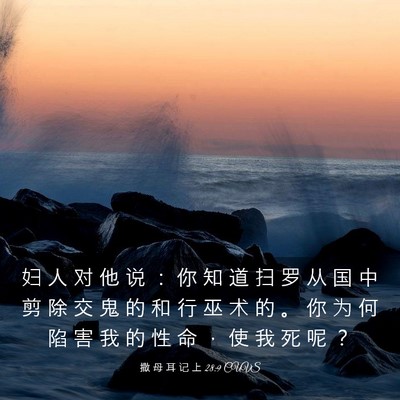 Picture 03 - 撒 母 耳 记 上 28:9 CUVS - 妇 人 对 他 说 ： 你 知 道 扫 罗 从 - Bible Verse Picture