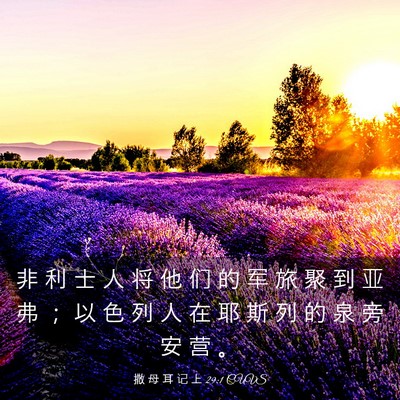 Picture 03 - 撒 母 耳 记 上 29:1 CUVS - 非 利 士 人 将 他 们 的 军 旅 聚 到 - Bible Verse Picture