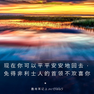 Picture 03 - 撒 母 耳 记 上 29:7 CUVS - 现 在 你 可 以 平 平 安 安 地 回 去 - Bible Verse Picture