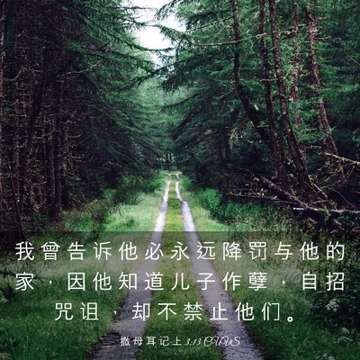 Picture 03 - 撒 母 耳 记 上 3:13 CUVS - 我 曾 告 诉 他 必 永 远 降 罚 与 他 - Bible Verse Picture