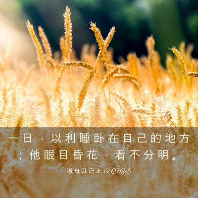 Picture 03 - 撒 母 耳 记 上 3:2 CUVS - 一 日 ， 以 利 睡 卧 在 自 己 的 地 - Bible Verse Picture