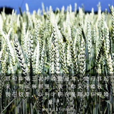 Picture 03 - 撒 母 耳 记 上 3:8 CUVS - 耶 和 华 第 三 次 呼 唤 撒 母 耳 。 - Bible Verse Picture