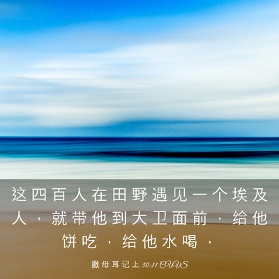 Picture 03 - 撒 母 耳 记 上 30:11 CUVS - 这 四 百 人 在 田 野 遇 见 一 个 埃 - Bible Verse Picture