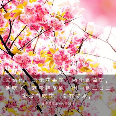 Picture 03 - 撒 母 耳 记 上 30:12 CUVS - 又 给 他 一 块 无 花 果 饼 ， 两 个 - Bible Verse Picture