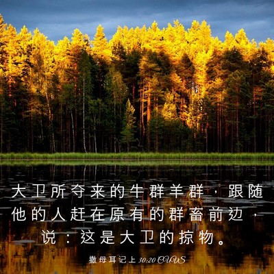 Picture 03 - 撒 母 耳 记 上 30:20 CUVS - 大 卫 所 夺 来 的 牛 群 羊 群 ， 跟 - Bible Verse Picture