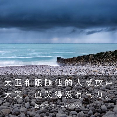 Picture 03 - 撒 母 耳 记 上 30:4 CUVS - 大 卫 和 跟 随 他 的 人 就 放 声 大 - Bible Verse Picture