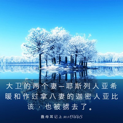 Picture 03 - 撒 母 耳 记 上 30:5 CUVS - 大 卫 的 两 个 妻 ─ 耶 斯 列 人 亚 - Bible Verse Picture