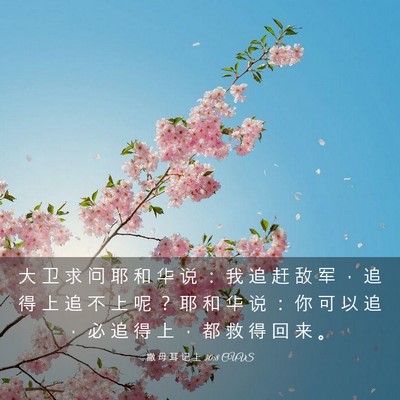 Picture 03 - 撒 母 耳 记 上 30:8 CUVS - 大 卫 求 问 耶 和 华 说 ： 我 追 赶 - Bible Verse Picture