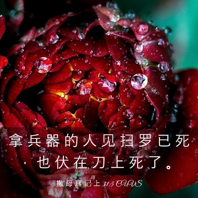 Picture 03 - 撒 母 耳 记 上 31:5 CUVS - 拿 兵 器 的 人 见 扫 罗 已 死 ， 也 - Bible Verse Picture