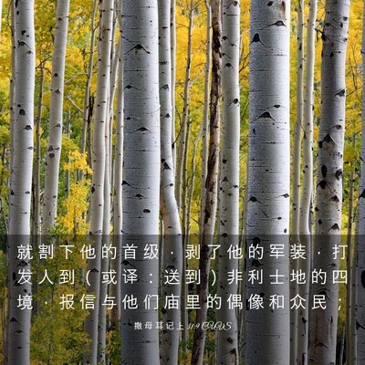 Picture 03 - 撒 母 耳 记 上 31:9 CUVS - 就 割 下 他 的 首 级 ， 剥 了 他 的 - Bible Verse Picture