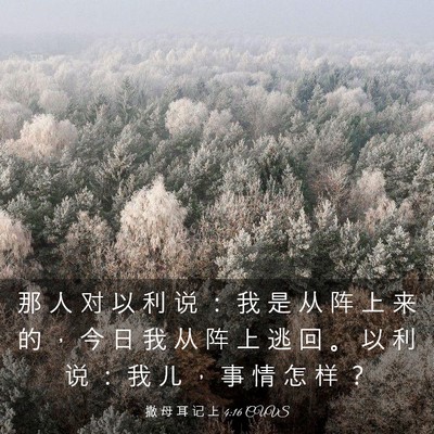 Picture 03 - 撒 母 耳 记 上 4:16 CUVS - 那 人 对 以 利 说 ： 我 是 从 阵 上 - Bible Verse Picture