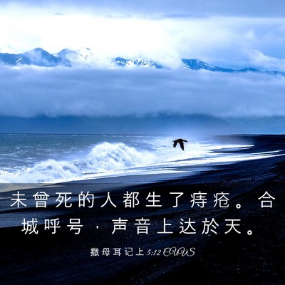 Picture 03 - 撒 母 耳 记 上 5:12 CUVS - 未 曾 死 的 人 都 生 了 痔 疮 。 合 - Bible Verse Picture