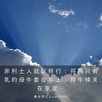 Picture 03 - 撒 母 耳 记 上 6:10 CUVS - 非 利 士 人 就 这 样 行 ： 将 两 只 - Bible Verse Picture
