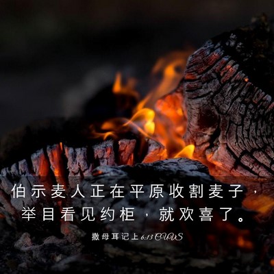 Picture 03 - 撒 母 耳 记 上 6:13 CUVS - 伯 示 麦 人 正 在 平 原 收 割 麦 子 - Bible Verse Picture