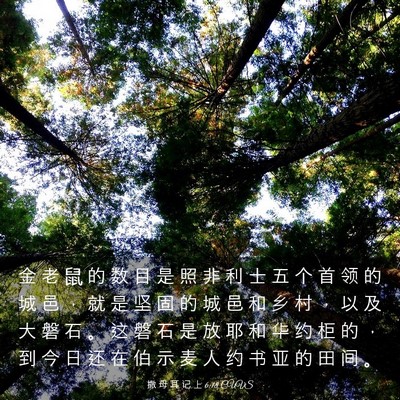 Picture 03 - 撒 母 耳 记 上 6:18 CUVS - 金 老 鼠 的 数 目 是 照 非 利 士 五 - Bible Verse Picture