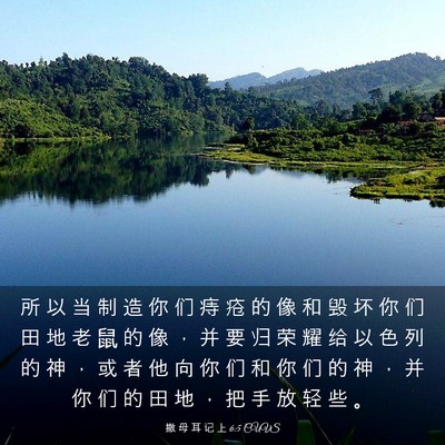 Picture 03 - 撒 母 耳 记 上 6:5 CUVS - 所 以 当 制 造 你 们 痔 疮 的 像 和 - Bible Verse Picture