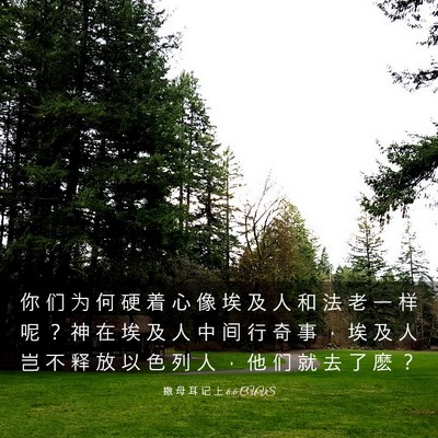 Picture 03 - 撒 母 耳 记 上 6:6 CUVS - 你 们 为 何 硬 着 心 像 埃 及 人 和 - Bible Verse Picture